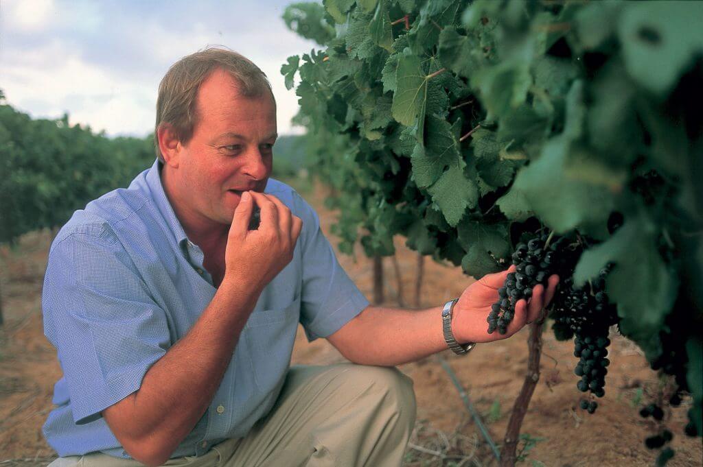 Bellwether grapes being taste tested